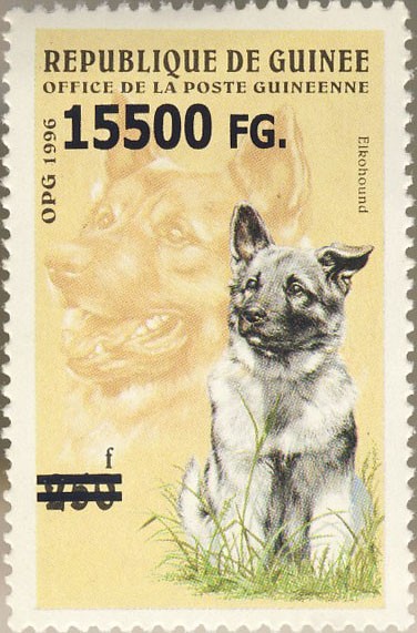 Dogs - Issue of Guinée postage stamps