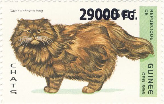 Cats - Issue of Guinée postage stamps