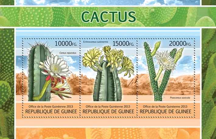 Cactus - Issue of Guinée postage stamps