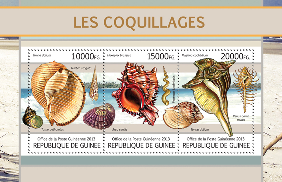 Shells - Issue of Guinée postage stamps