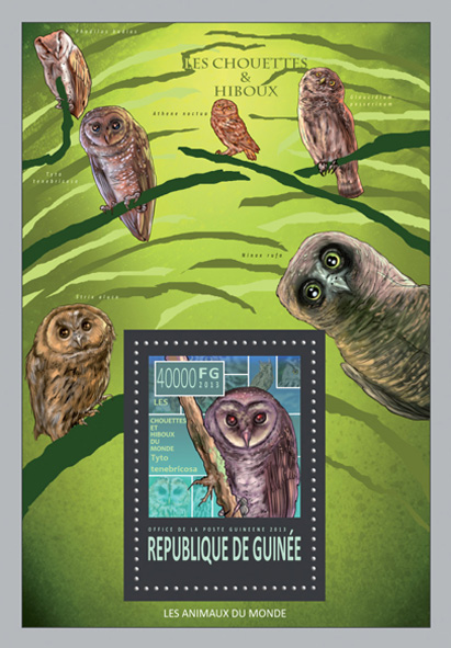 Owls - Issue of Guinée postage stamps