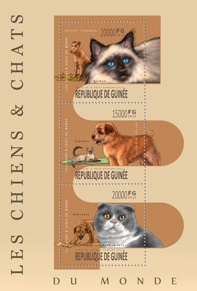 Cats and Dogs - Issue of Guinée postage stamps
