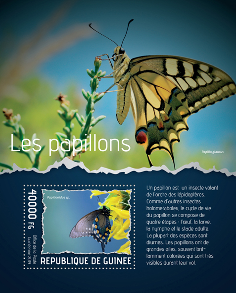 Butterflies - Issue of Guinée postage stamps