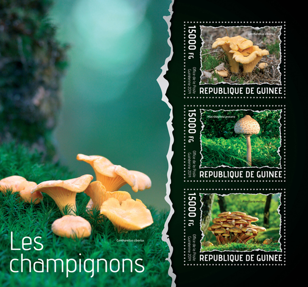 Mushrooms - Issue of Guinée postage stamps