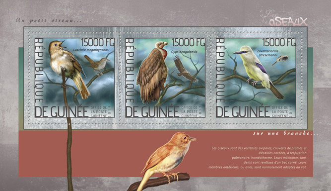 Birds  - Issue of Guinée postage stamps