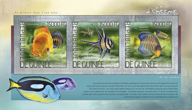 Fishes  - Issue of Guinée postage stamps