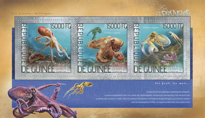 Octopuses  - Issue of Guinée postage stamps