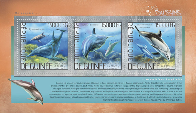 Dolphins   - Issue of Guinée postage stamps