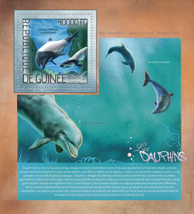 Dolphins   - Issue of Guinée postage stamps