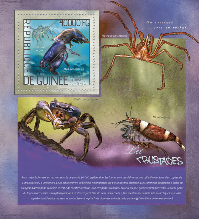 Shellfishes  - Issue of Guinée postage stamps