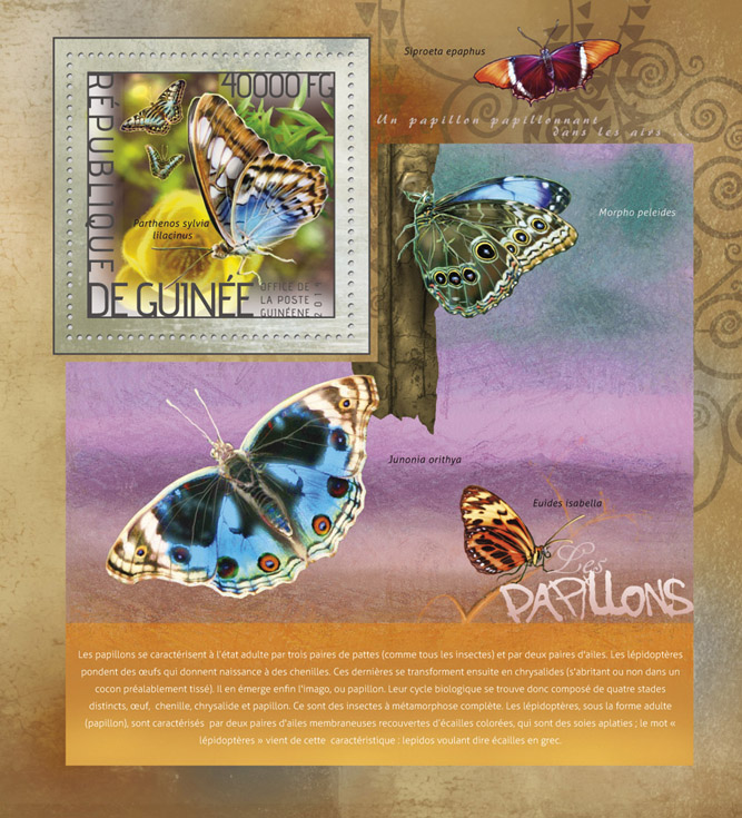 Butterflies  - Issue of Guinée postage stamps