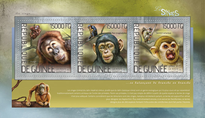 Monkeys  - Issue of Guinée postage stamps