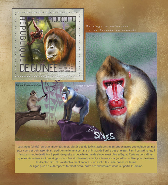 Monkeys  - Issue of Guinée postage stamps