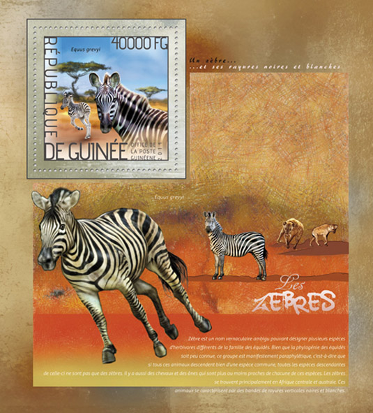 Zebras - Issue of Guinée postage stamps