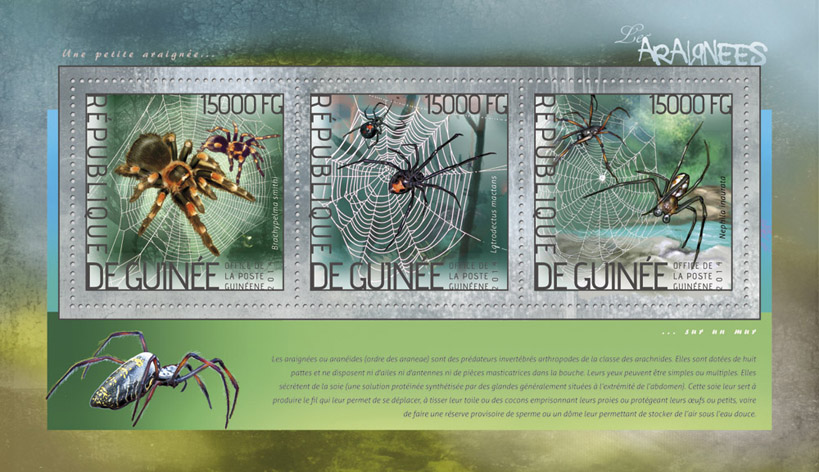 Spiders - Issue of Guinée postage stamps