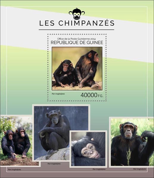 Chimpanzees - Issue of Guinée postage stamps