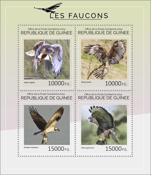 Hawks - Issue of Guinée postage stamps