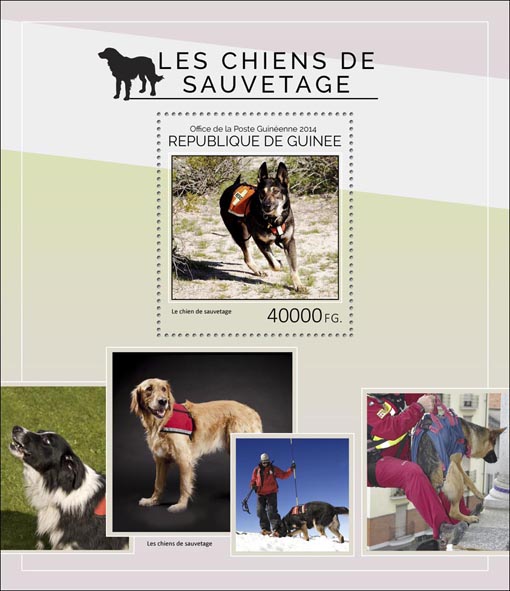 Rescue dogs - Issue of Guinée postage stamps