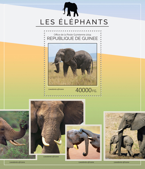 Elephants - Issue of Guinée postage stamps