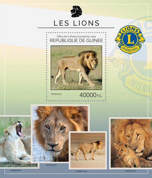 Lions - Issue of Guinée postage stamps