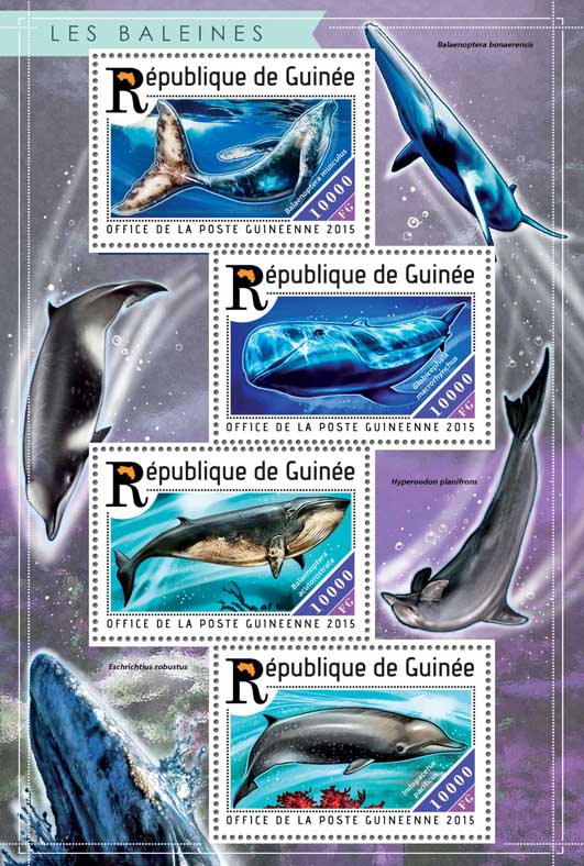 Whales - Issue of Guinée postage stamps