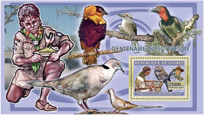 SCOUTS - OWLS - BIRDS 25 000 FG - Issue of Guinée postage stamps