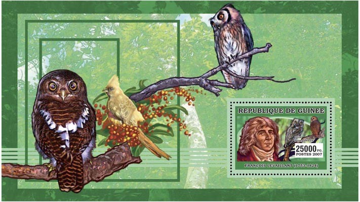 ORNITOLOGISTS - BIRDS s/s - 25 000 FG - Issue of Guinée postage stamps