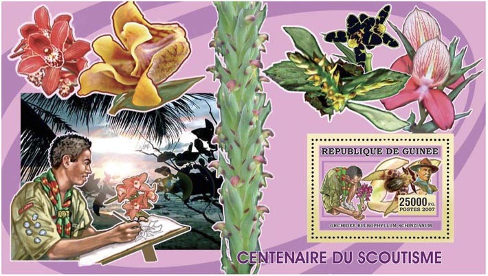 SCOUTS-ORCHIDS-CACTUS s/s - 25 000 FG - Issue of Guinée postage stamps