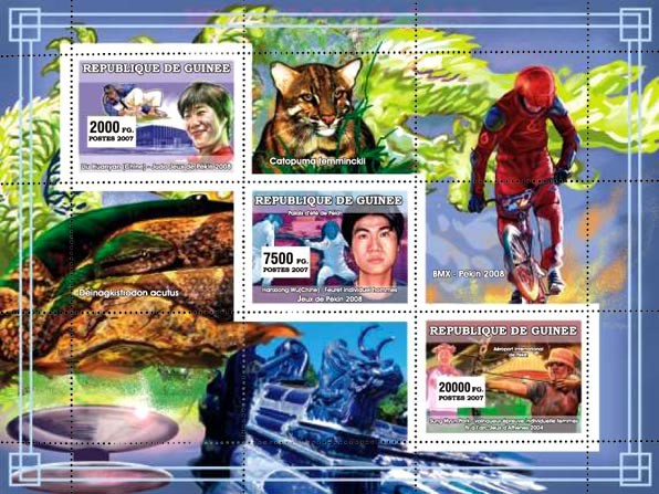Various Sports 3v - Issue of Guinée postage stamps