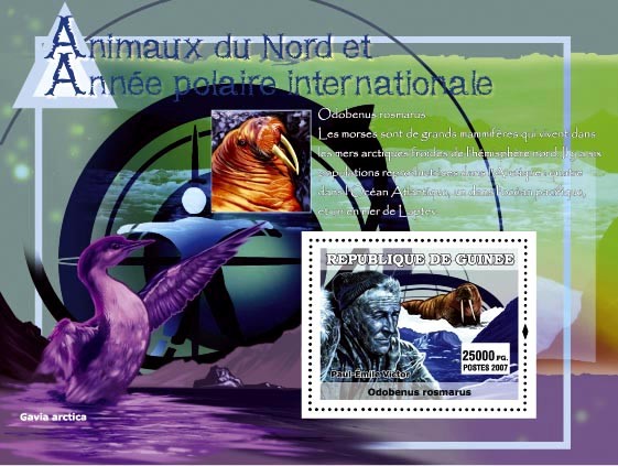 Gavia Arctica / Odobenus rosmarus / P. E. Victor - Issue of Guinée postage stamps