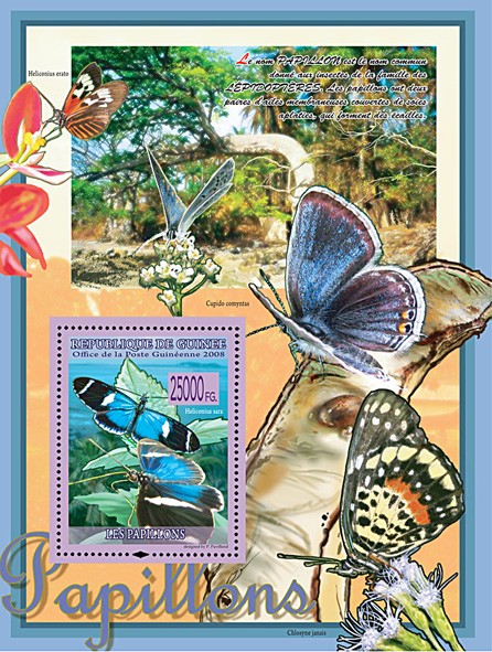 Heliconius Sara (Cupido Comyntas, Heliconius Erato) - Issue of Guinée postage stamps