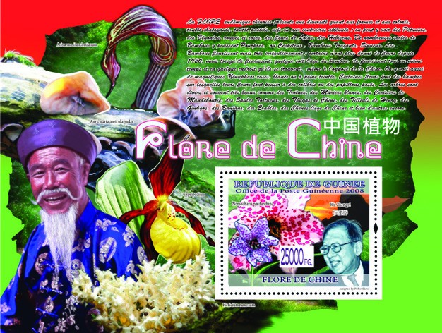 Wu.Zhengyi ?�� Nomocharis pardanthina - Issue of Guinée postage stamps