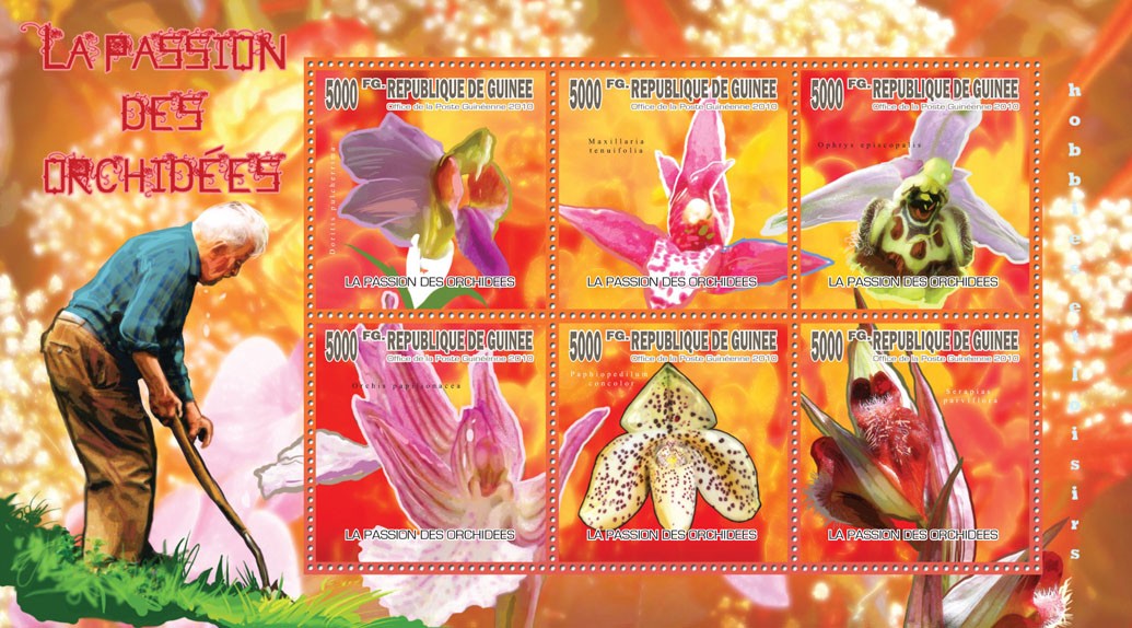 Orchids Passion (Flowers) - Issue of Guinée postage stamps