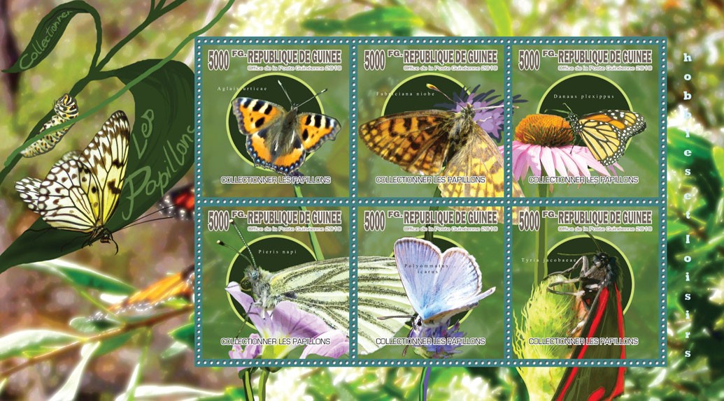 Collecting Butterflies - Issue of Guinée postage stamps