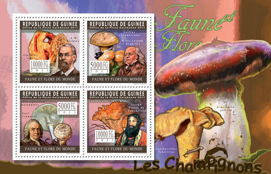 Mushrooms. - Issue of Guinée postage stamps