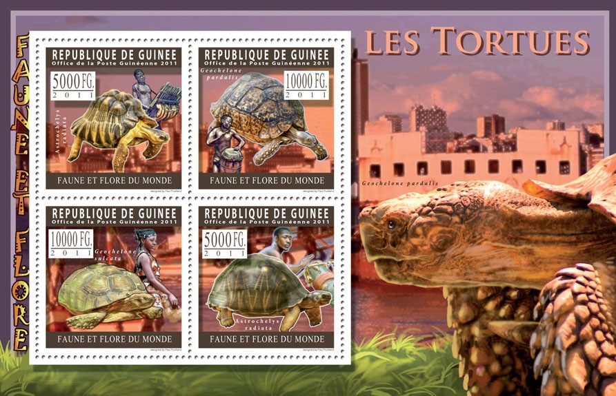Turtles. - Issue of Guinée postage stamps