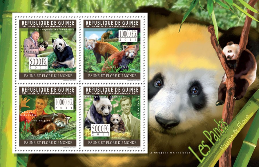 Pandas. - Issue of Guinée postage stamps