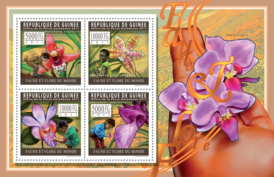 Orchids. - Issue of Guinée postage stamps