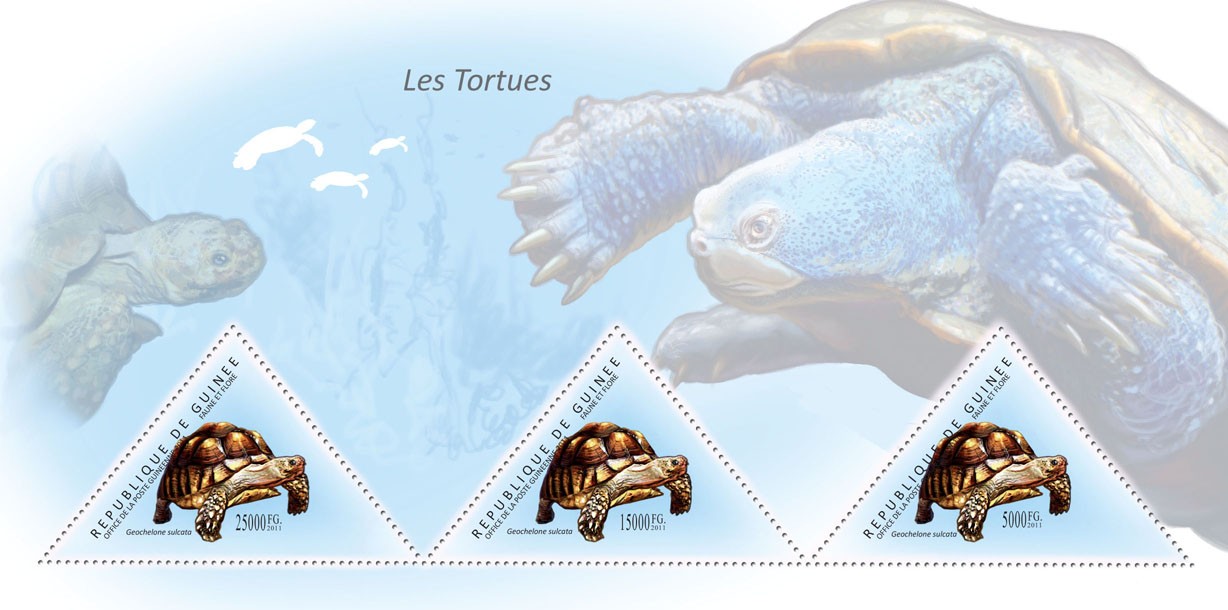 Turtles, (Geochelone sulcata). - Issue of Guinée postage stamps