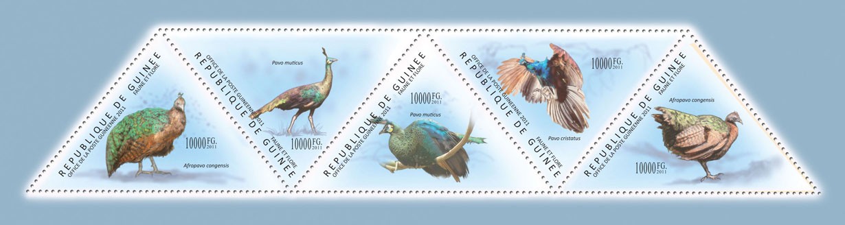 Peacocks, (Afropavo congensis, congensis). - Issue of Guinée postage stamps