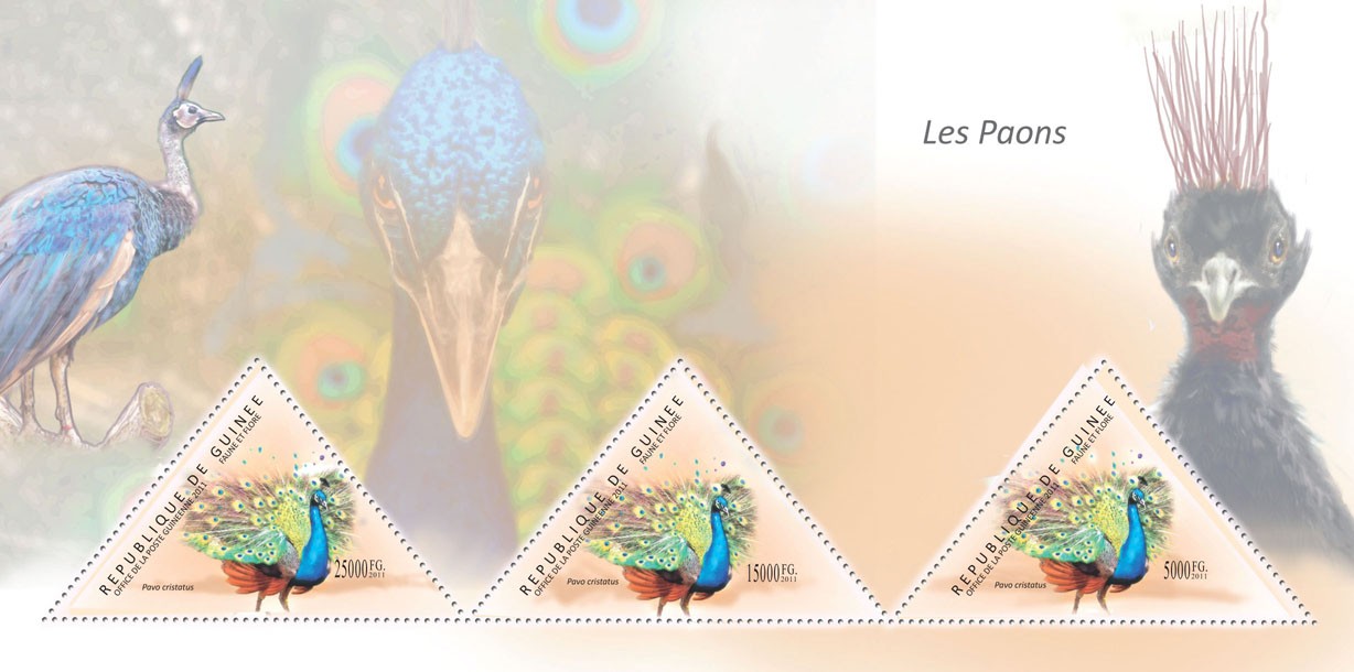 Peacocks, ( Pavo cristatus ). - Issue of Guinée postage stamps