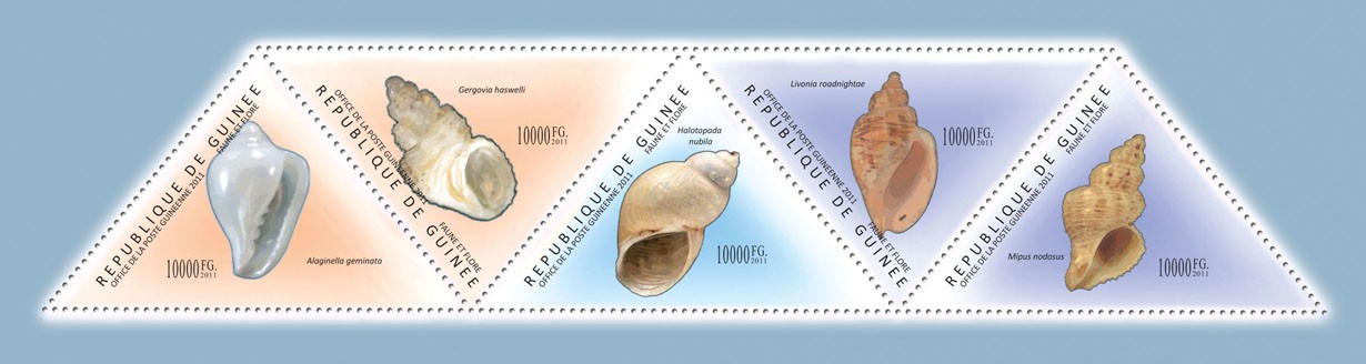 Shells, (Alaginella geminate, Mipus nodosus). - Issue of Guinée postage stamps