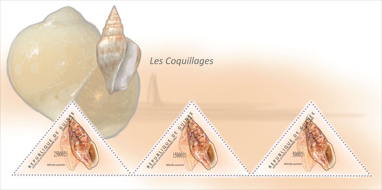 Shells, (Mitrella australis). - Issue of Guinée postage stamps