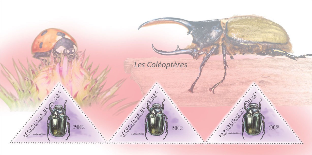 Beetles, (Melolonthinae). - Issue of Guinée postage stamps