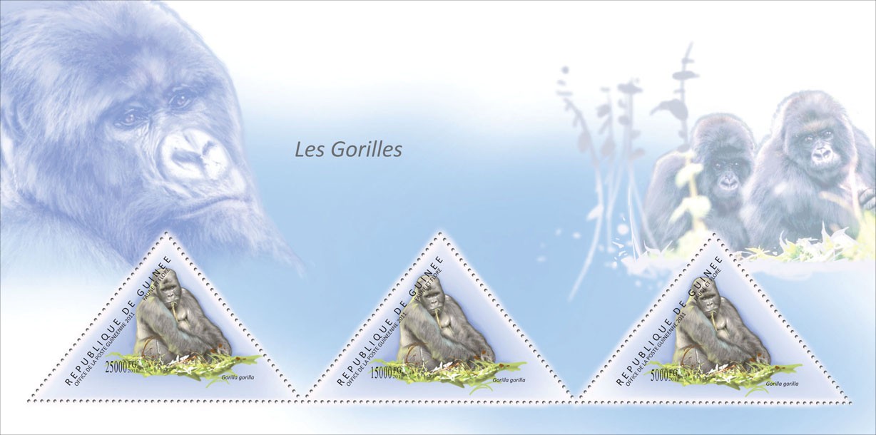 Gorlla, (Gorilla gorilla). - Issue of Guinée postage stamps