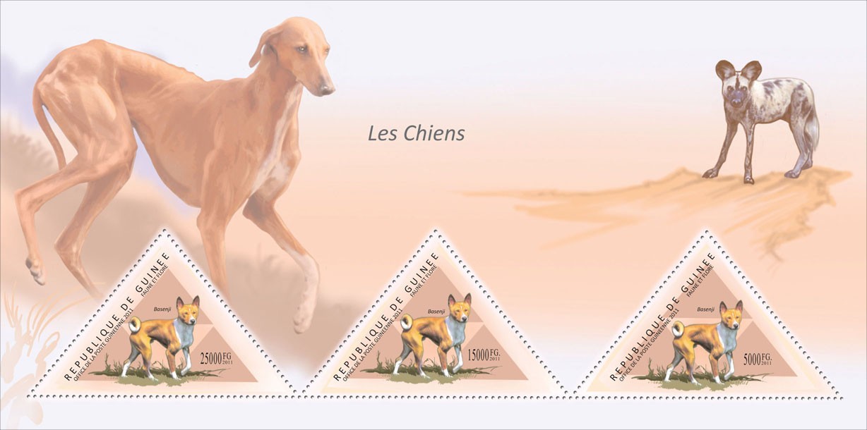 Dogs, (Basenji). - Issue of Guinée postage stamps