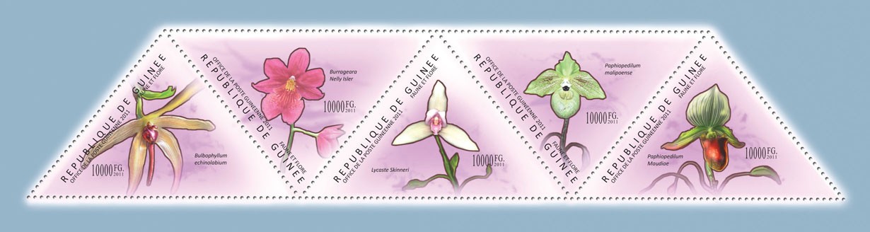 Orchids, (Bulbophyllum echinolabium, Paphipedilum Maudiae). - Issue of Guinée postage stamps