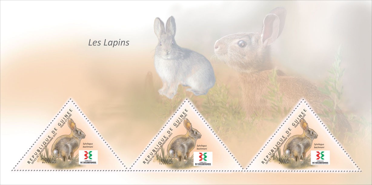 Rabbits, (Sylvilagus bachmani). - Issue of Guinée postage stamps