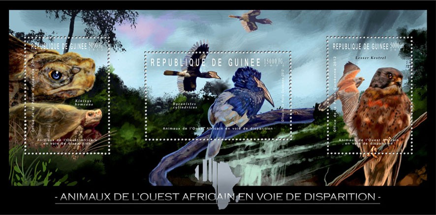 Endangered Animals of West Africa, Reptils & Birds, (Kinixys homeana, Bycanistes cylindricus, Lasser Kestrel). - Issue of Guinée postage stamps