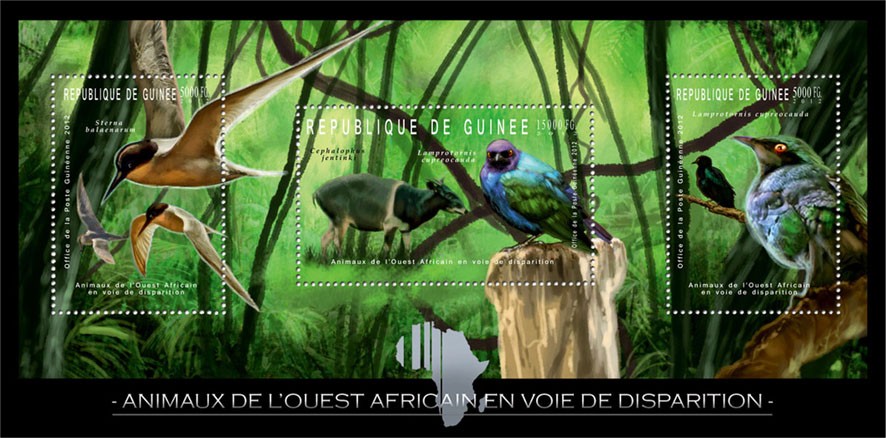 Endangered Animals of West Africa, Birds & Animals, (Sterna balaenarum, Cephalophus jentinki, Lamprotornis cupreocauda). - Issue of Guinée postage stamps